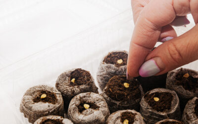 Vše pro výsevy semen